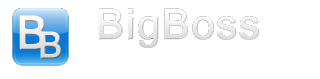 BigBoss Logo