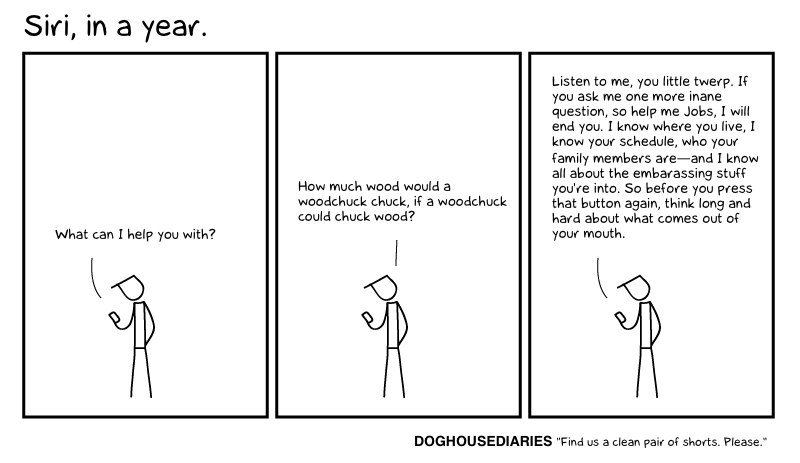 Doghouse Diaries - Siri in a year